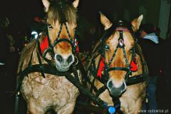 12400223_715685831866941_1215384123_o