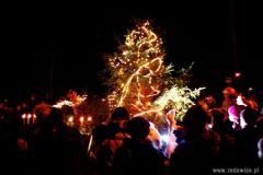 12415540_715684475200410_1781283488_o