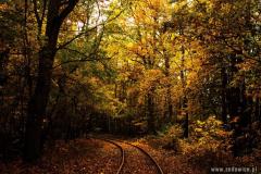 Jesienny zachód słońca w gminie Zawadzkie