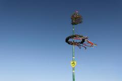 Maibaum 2023