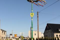 IMG_8010