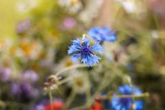 IMG_2060