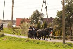 IMG_5455