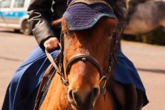 IMG_1552