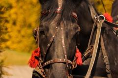 IMG_1561
