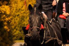 IMG_1590