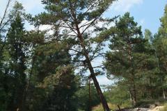 Splywy_Kajakowe_011