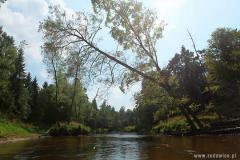 Splywy_Kajakowe_018