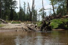 Splywy_Kajakowe_022