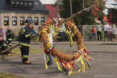 IMG_3261