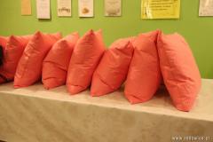 IMG_4453-kopia