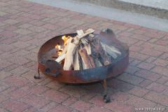 IMG_5941