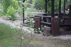 IMG_20160527_122711