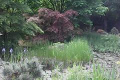 IMG_20160527_123221