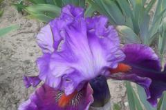 IMG_20160527_123526