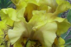 IMG_20160527_123651