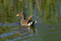 19022770_1357925194284792_1867401025_o