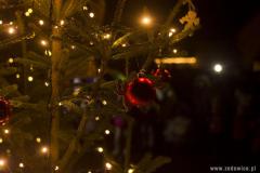 IMG_5428