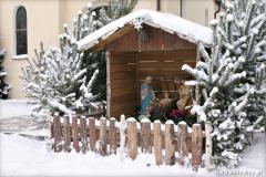 Zedowice_zima2008_002