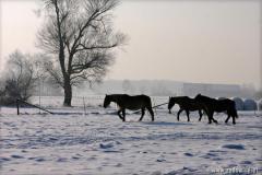 Zedowice_zima2008_029