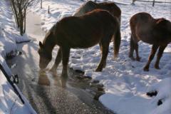 Zedowice_zima2008_030