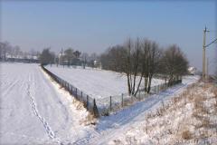 Zedowice_zima2008_039