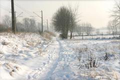 Zedowice_zima2008_040