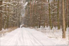 Zedowice_zima2008_046