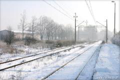 Zedowice_zima2008_056