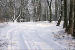 Zedowice_zima2008_060