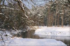 Zedowice_zima2008_061