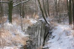 Zedowice_zima2008_065