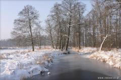 Zedowice_zima2008_066