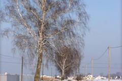 Zedowice_zima2008_070