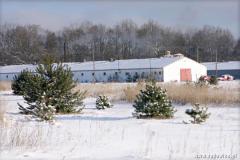 Zedowice_zima2008_072