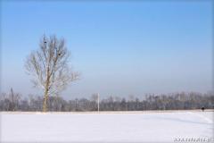 Zedowice_zima2008_076