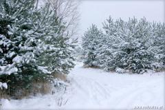 Zedowice_zima2008_077