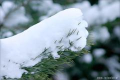 Zedowice_zima2008_078