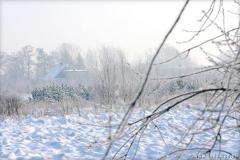 Zedowice_zima2008_085