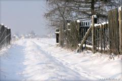 Zedowice_zima2008_087