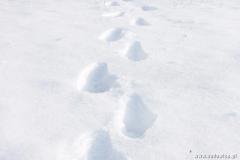 Zedowice_zima2008_089