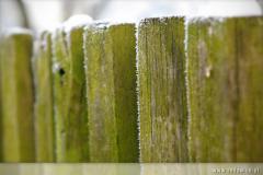 Zedowice_zima2008_092