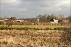 Zedowice_zima2008_095